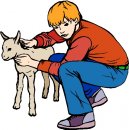 animali/pecora/pecore58.jpg