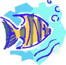 animali/pesce/pesci_06.jpg