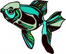 animali/pesce/pesci_106.jpg