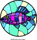 animali/pesce/pesci_244.jpg