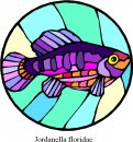 animali/pesce/pesci_262.jpg