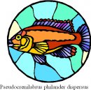 animali/pesce/pesci_270.jpg