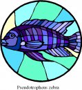 animali/pesce/pesci_280.jpg