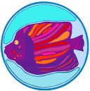 animali/pesce/pesci_31.jpg