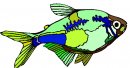 animali/pesce/pesci_321.jpg