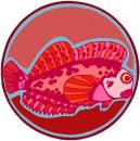 animali/pesce/pesci_34.jpg