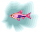 animali/pesce/pesci_384.jpg