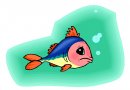 animali/pesce/pesci_442.jpg