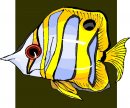 animali/pesce/pesci_448.jpg