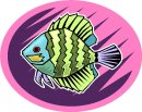 animali/pesce/pesci_564.jpg