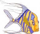 animali/pesce/pesci_664.jpg