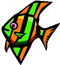 animali/pesce/pesci_67.jpg