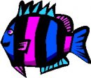 animali/pesce/pesci_75.jpg