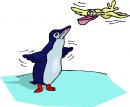 animali/pinguino/pinguini_101.jpg