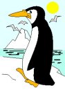 animali/pinguino/pinguini_104.jpg