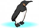 animali/pinguino/pinguini_17.jpg