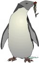 animali/pinguino/pinguini_27.jpg