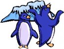 animali/pinguino/pinguini_51.jpg