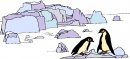 animali/pinguino/pinguini_63.jpg