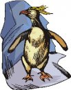 animali/pinguino/pinguini_89.jpg