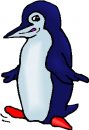 animali/pinguino/pinguini_99.jpg