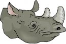 animali/rinoceronte/rinoceronte_01.jpg