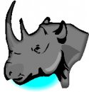 animali/rinoceronte/rinoceronte_06.jpg