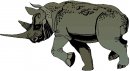 animali/rinoceronte/rinoceronte_10.jpg