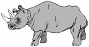 animali/rinoceronte/rinoceronte_24.jpg