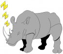 animali/rinoceronte/rinoceronte_26.jpg