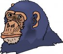 animali/scimmia/scimmie_57.jpg