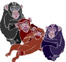 animali/scimmia/scimmie_87.jpg