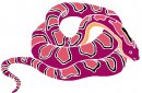 animali/serpente/serpenti_138.jpg