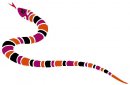 animali/serpente/serpenti_145.jpg