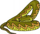 animali/serpente/serpenti_175.jpg