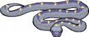 animali/serpente/serpenti_176.jpg