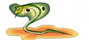 animali/serpente/serpenti_177.jpg