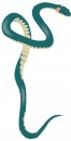 animali/serpente/serpenti_185.jpg