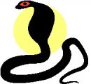 animali/serpente/serpenti_41.jpg
