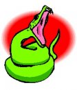 animali/serpente/serpenti_45.jpg