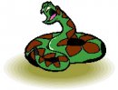 animali/serpente/serpenti_46.jpg