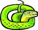 animali/serpente/serpenti_48.jpg