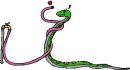 animali/serpente/serpenti_79.jpg