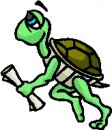 animali/tartaruga/tartaruga_14.jpg
