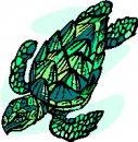 animali/tartaruga/tartaruga_40.jpg