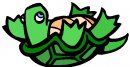 animali/tartaruga/tartaruga_98.jpg