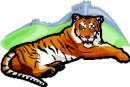 animali/tigre/tigre_106.jpg