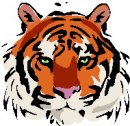 animali/tigre/tigre_109.jpg