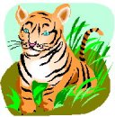 animali/tigre/tigre_110.jpg