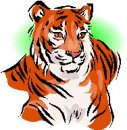 animali/tigre/tigre_113.jpg